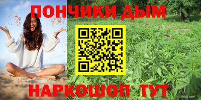 mdpv Заводоуковск