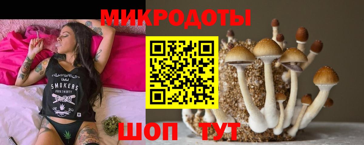 Буйнакск  Псилоцибиновые грибы мухоморы  Вход с VPN  Галлюциногенные грибы мухоморы 
